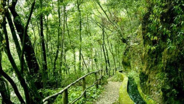 Casa Deco, La Galga, La Palma Villa Екстериор снимка